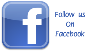facebook follow button